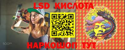 СК Краснодар