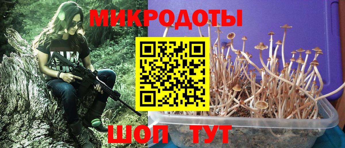 Знаменск  Галлюциногенные грибы мухоморы  Вход с VPN 